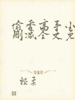 偷香高手小说无删减全文免费