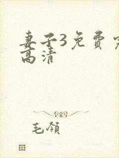 妻子3免费完整高清