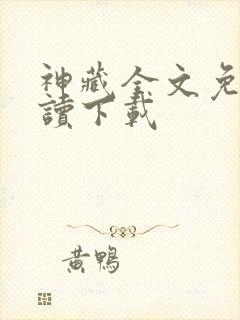 神藏全文免费阅读下载