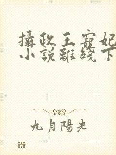 摄政王宠妃日常小说离线下载