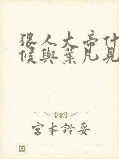 狠人大帝什么时候与叶凡见面封面