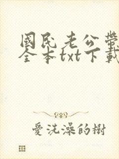 国民老公带回家全本txt下载