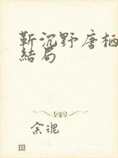 靳沉野唐栖雾大结局