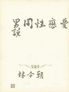 男同性恋爱爱小说