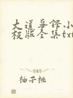 大道争锋小说精校版全集txt