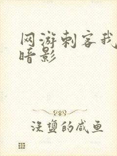 网游刺客我即是暗影