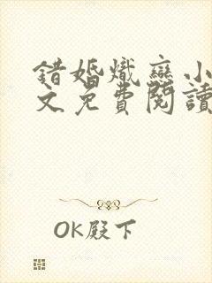 错婚炽恋小说全文免费阅读