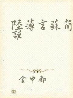 陆薄言苏简安小说