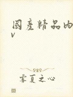 国产精品内入av