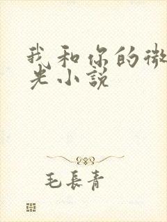 我和你的微甜时光小说封面