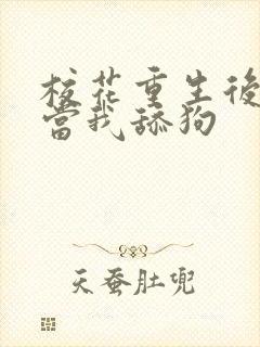 校花重生后哭着当我舔狗封面