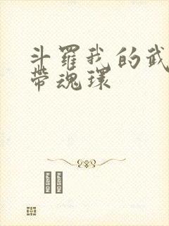 斗罗我的武魂自带魂环封面