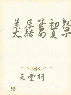 叶辰萧初然小说大结局夏子安封面