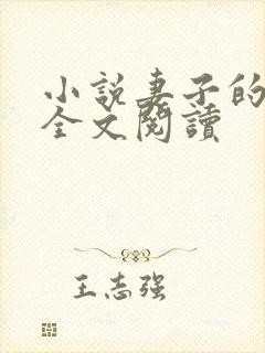 小说妻子的秘密全文阅读