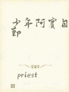 少年阿宾目录章节