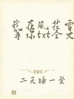 我在风花雪月里等你txt全文下载封面