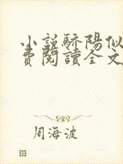 小说骄阳似我免费阅读全文无窗口