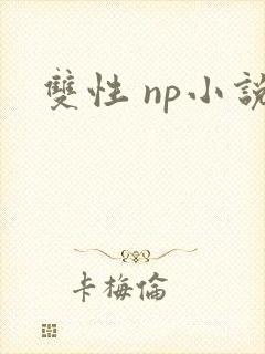 双性 np小说封面