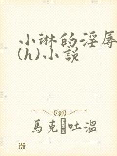 小琳的淫辱日记(h)小说