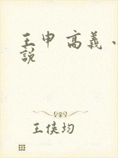 王申 高义 小说封面