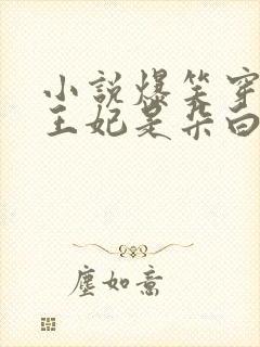 小说爆笑穿越:王妃是朵白莲花免费下载