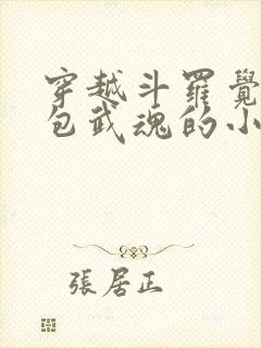 穿越斗罗觉醒面包武魂的小说封面