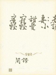 蜜宠甜妻:老公轻轻爱 小说