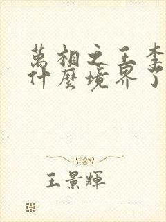 万相之王李洛到什么境界了