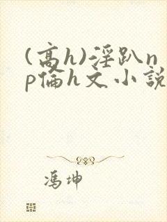 (高h)淫趴np伦h文小说