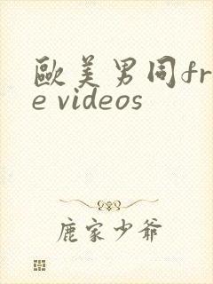 欧美男同free videos