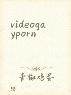 videogayporn封面