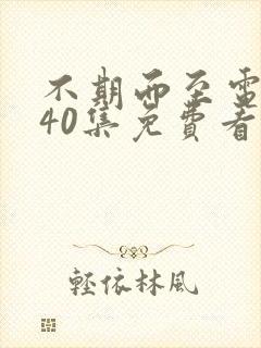 不期而至电视剧40集免费看锦心似玉