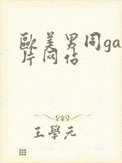 欧美男同gay片网站