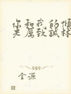 你和我的倾城时光厉致诚林浅封面