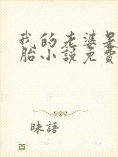 我的老婆是双胞胎小说免费阅读全本