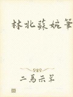 林北苏婉笔趣阁