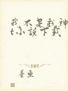 我不是戏神txt小说下载