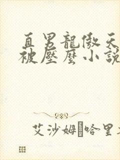 直男龙傲天也要被压么小说免费阅读封面