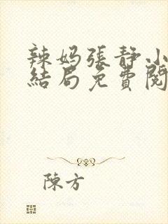 辣妈张静小说大结局免费阅读封面