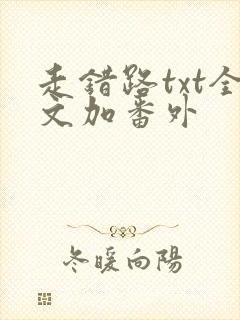 走错路txt全文加番外