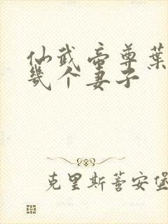 仙武帝尊叶辰有几个妻子