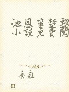 池恩宁楚黎川的小说免费阅读免费听书