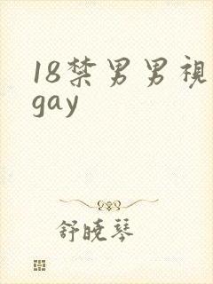 18禁男男视频gay