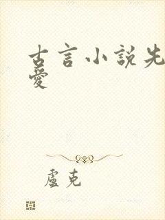 古言小说先婚后爱