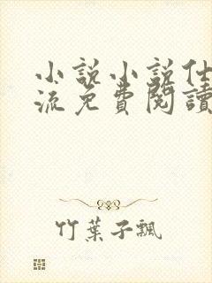 小说小说仕途风流免费阅读