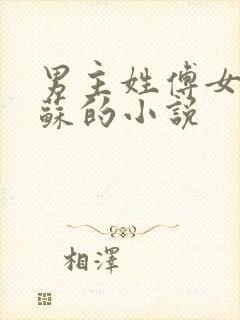 男主姓傅女主姓苏的小说