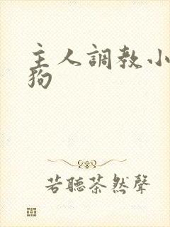 主人调教小骚母狗封面