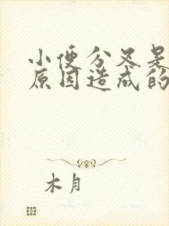 小便分叉是什么原因造成的