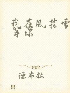 我在风花雪月中等你