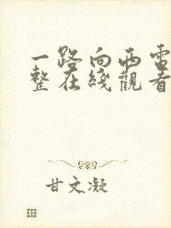 一路向西电影完整在线观看封面